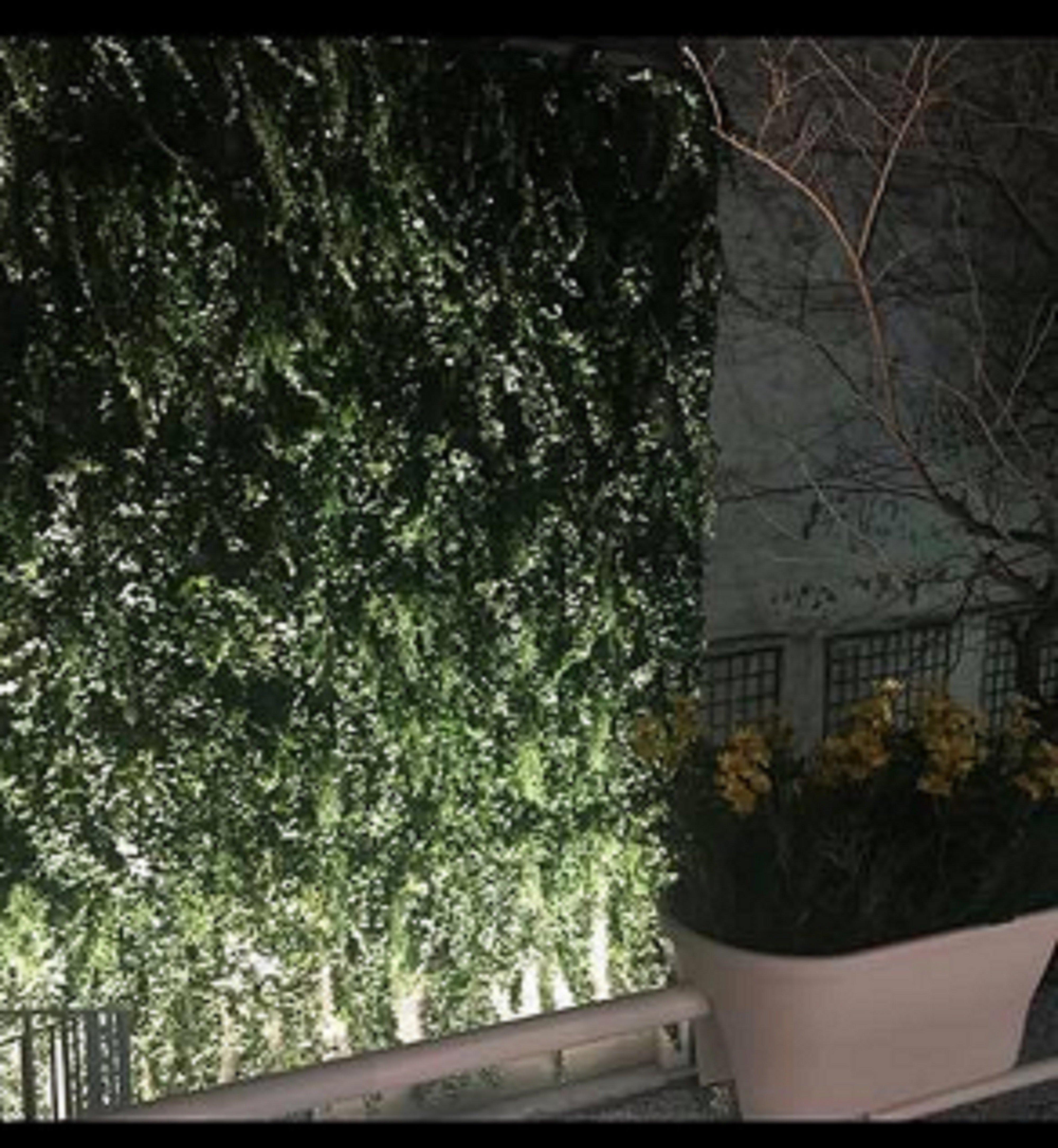 Holiday Inn Paris Montmartre By Ihg Bagian luar foto